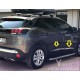 Peugeot 3008 Krom Yan Kapı Çıtası